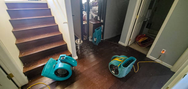 Best Water damage restoration near me  in Winterville, GA
