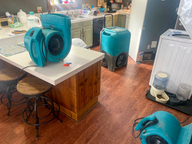 Best 24-hour water damage restoration  in Winterville, GA