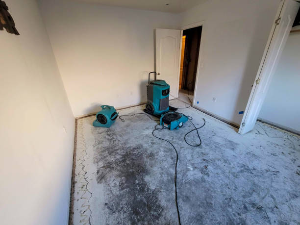 Best Residential water damage restoration  in Winterville, GA