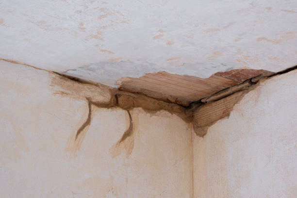 Best Water damage restoration specialists  in Winterville, GA