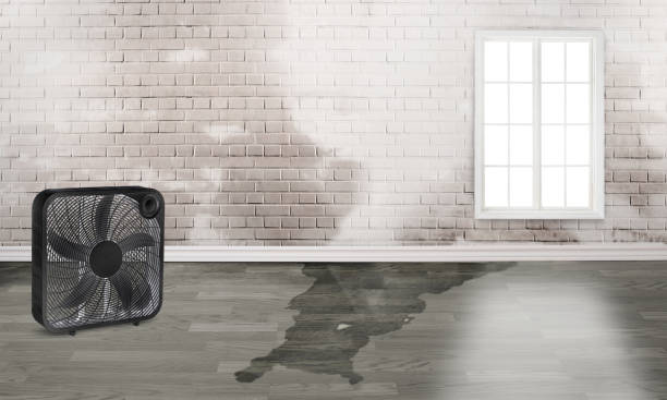 Best Emergency water damage restoration  in Winterville, GA