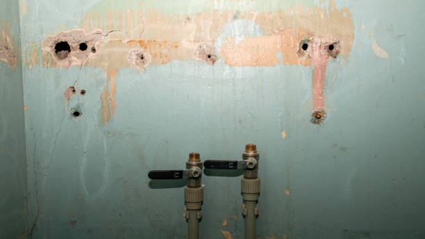 Best Water damage contractors near me  in Winterville, GA