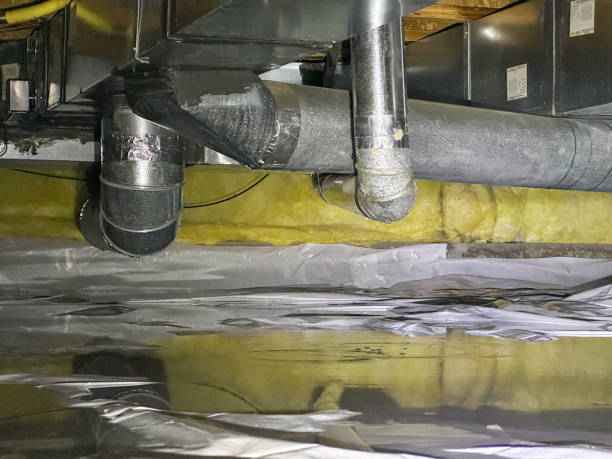 Best Water damage restoration specialists  in Winterville, GA