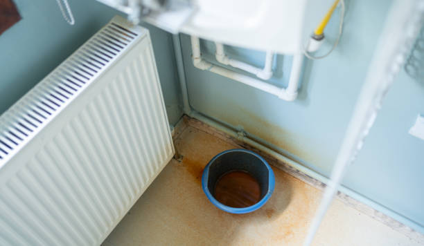 Best Mold removal after water damage  in Winterville, GA
